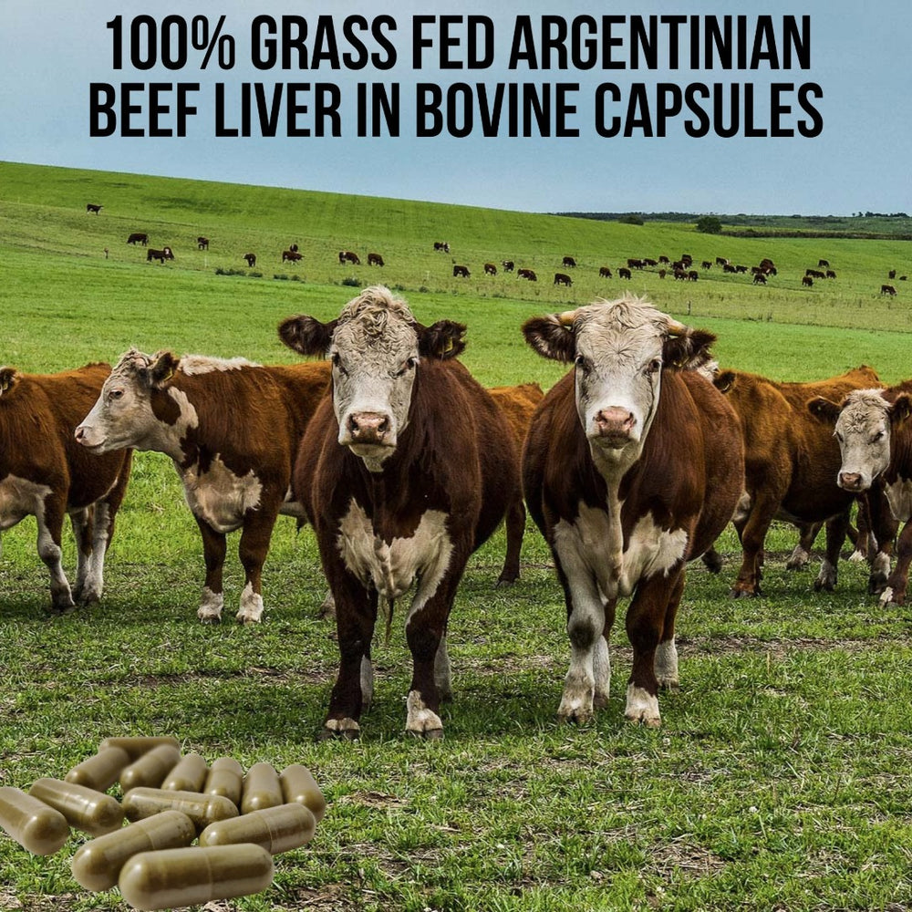 100% Grass Fed Argentinian Beef Liver Capsules AND Powder - Lab Tested and Pure